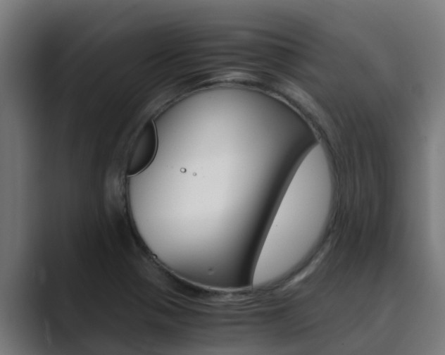 X0000089891321200706281103