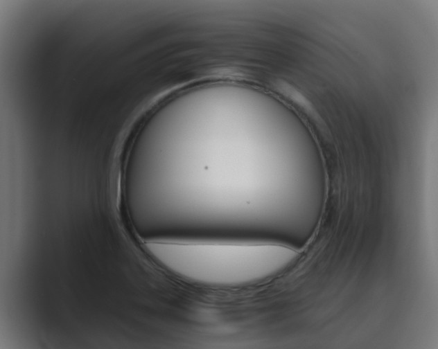 X0000089891323200706281103