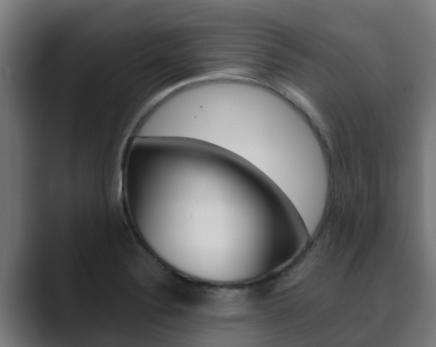 X0000089891324200706281103