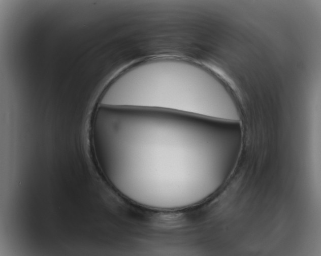 X0000089891325200706281103