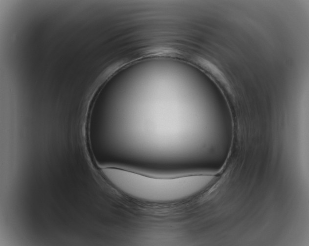 X0000089891330200706281103