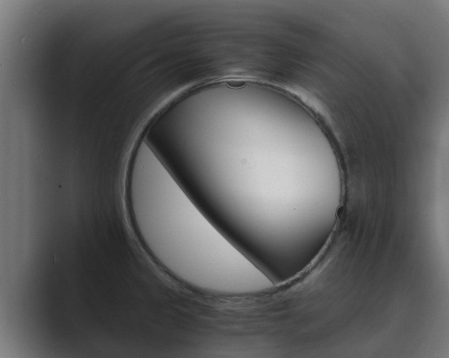 X0000089891333200706281103