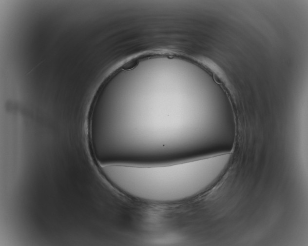 X0000089891335200706281103