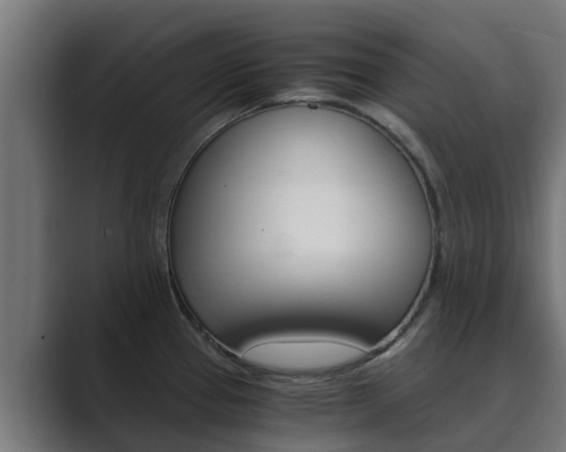 X0000089891337200706281103