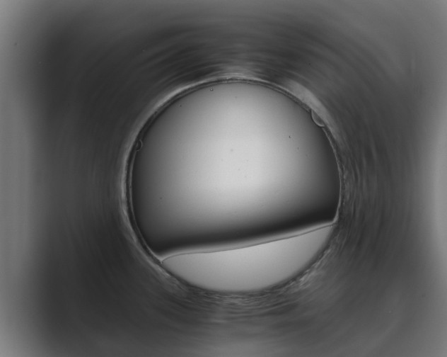 X0000089891339200706281103
