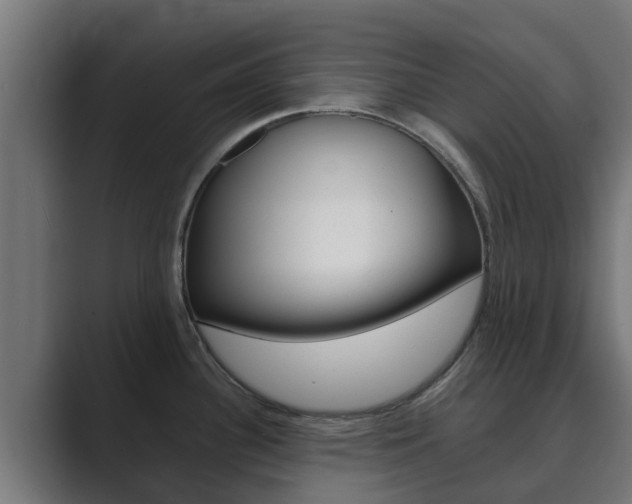 X0000089891340200706281103