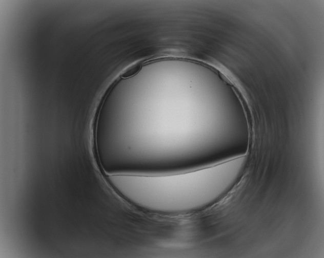 X0000089891341200706281103