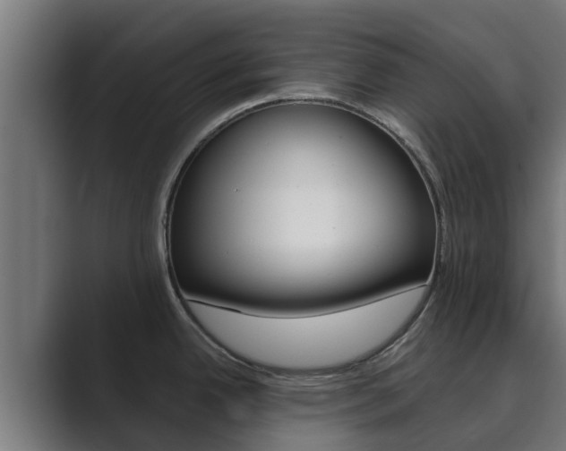 X0000089891342200706281103