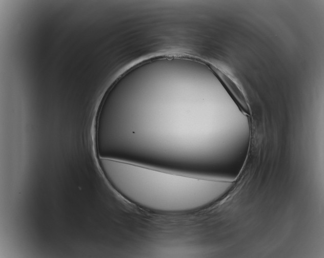 X0000089891343200706281103