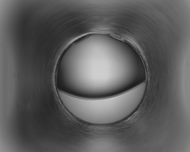 X0000089891344200706281103