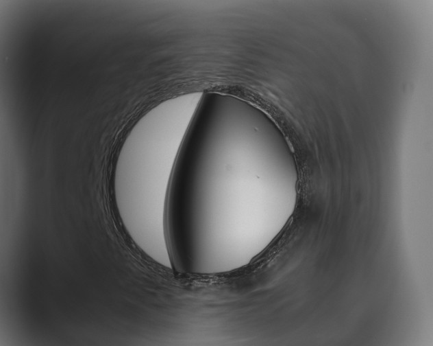 X0000089891345200706281102