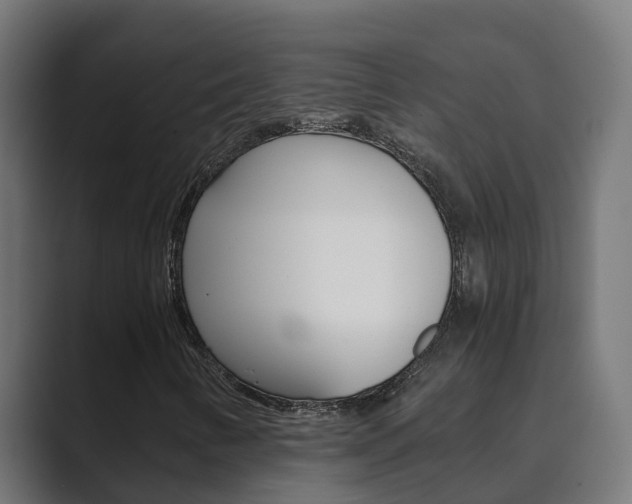 X0000089891346200706281102