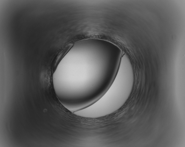 X0000089891348200706281102