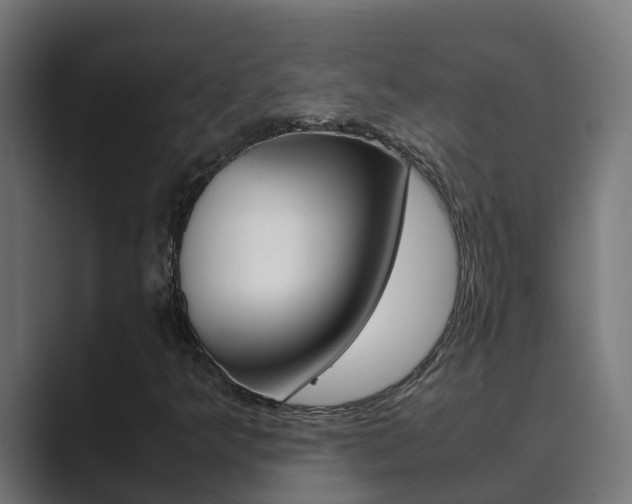 X0000089891349200706281102