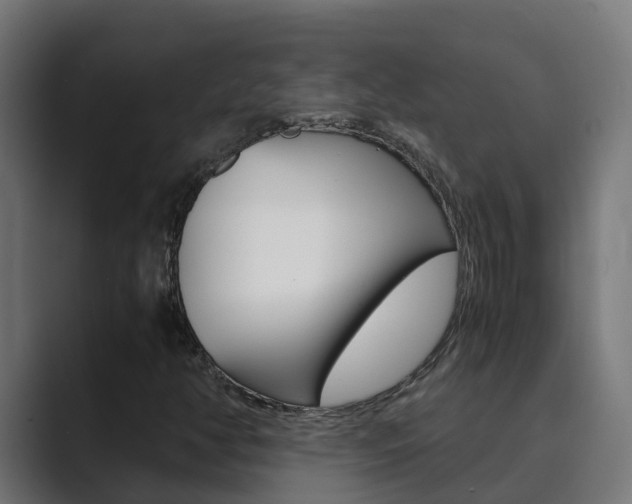 X0000089891350200706281102