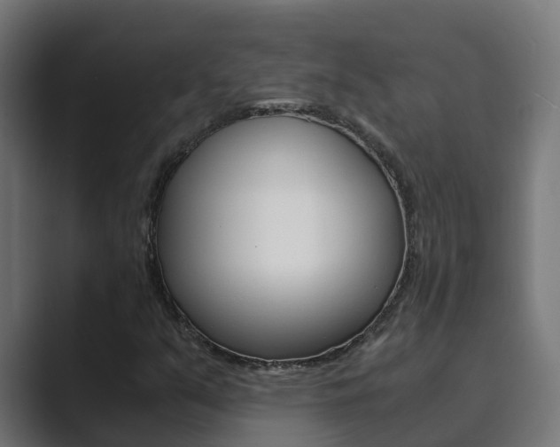 X0000089891351200706281102