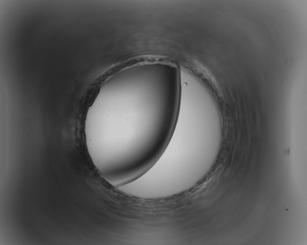 X0000089891352200706281102