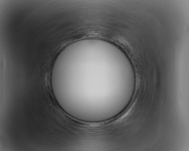 X0000089891353200706281102
