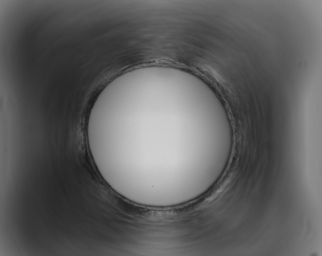 X0000089891354200706281102