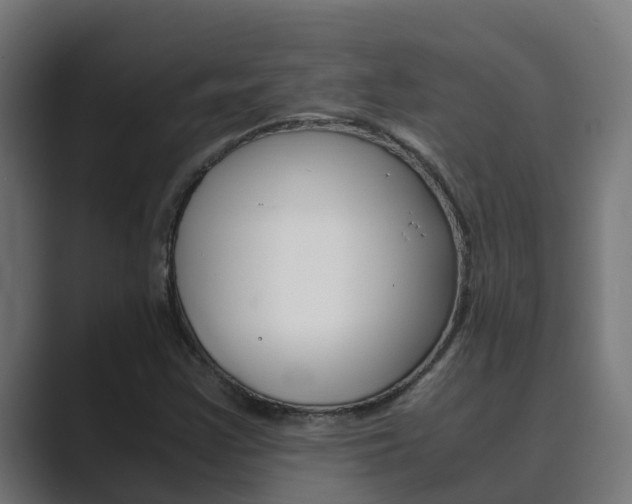 X0000089891355200706281102