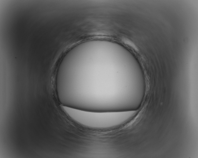 X0000089891357200706281102