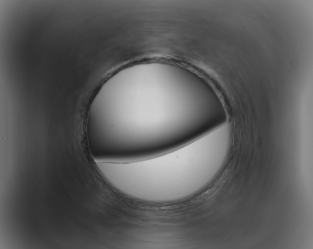 X0000089891359200706281102
