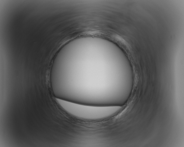 X0000089891361200706281102