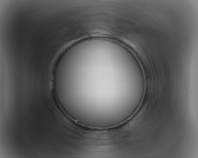 X0000089891363200706281102