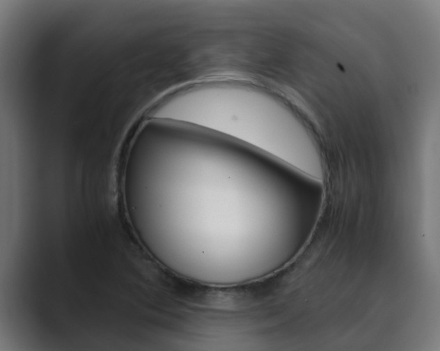 X0000089891364200706281102