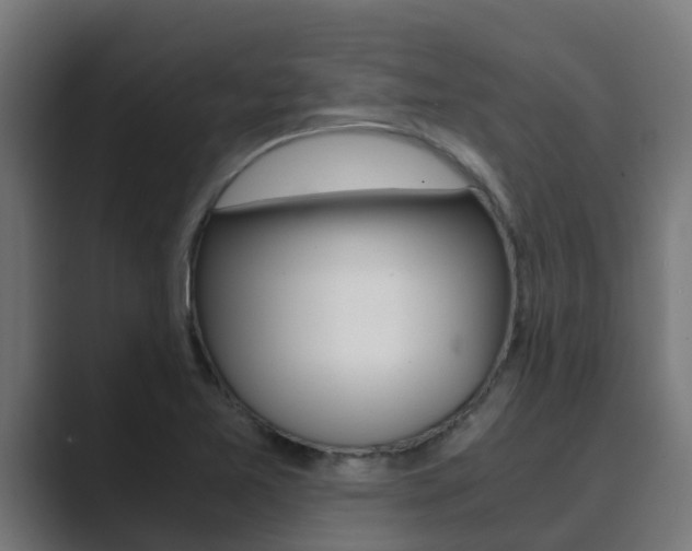 X0000089891365200706281102