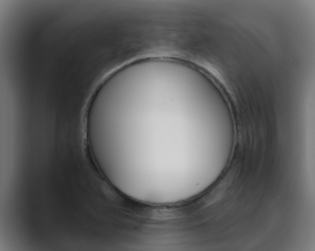 X0000089891366200706281102