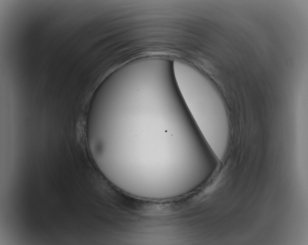 X0000089891369200706281102
