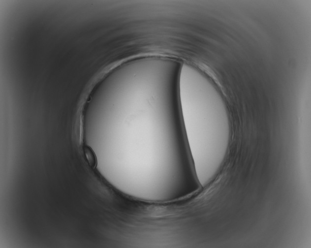 X0000089891371200706281102