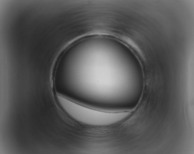 X0000089891372200706281102