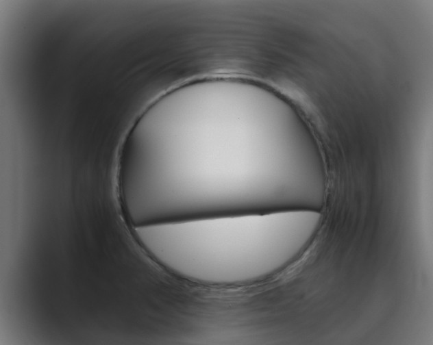 X0000089891374200706281102