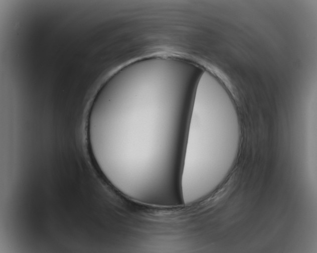 X0000089891375200706281102