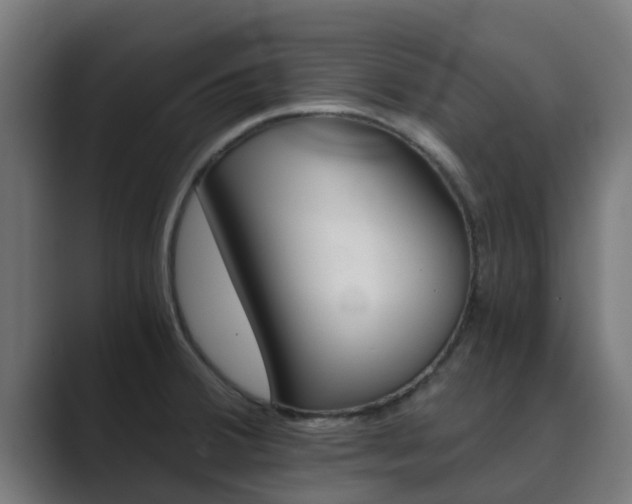 X0000089891380200706281102