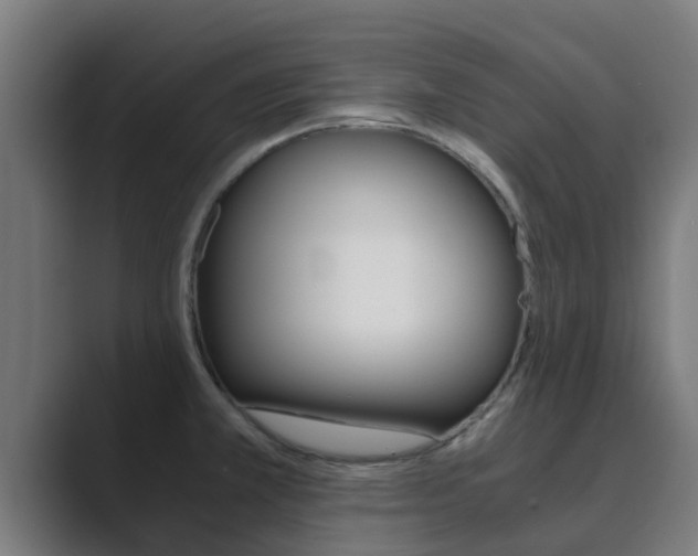X0000089891381200706281102