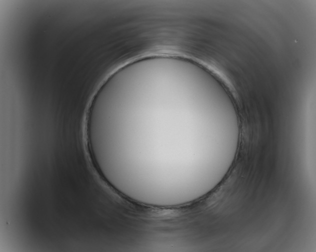 X0000089891382200706281102