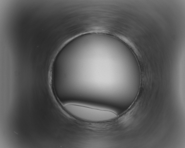 X0000089891383200706281102