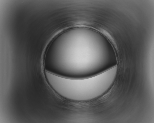 X0000089891384200706281102