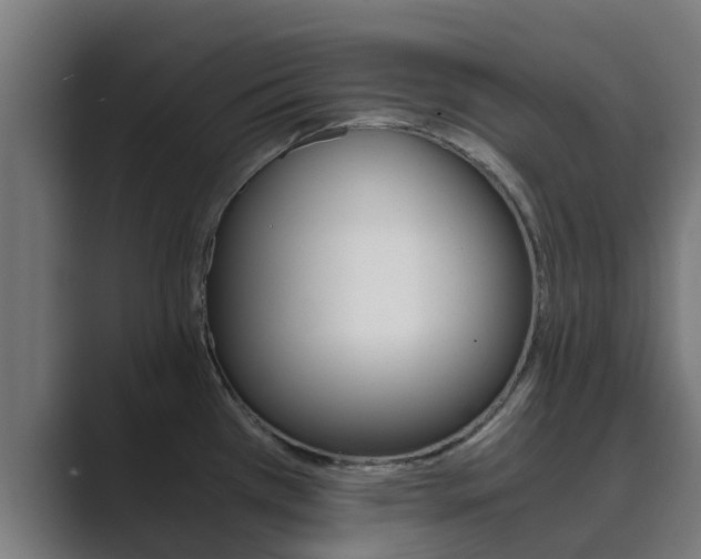 X0000089891385200706281102