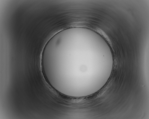 X0000089891386200706281102