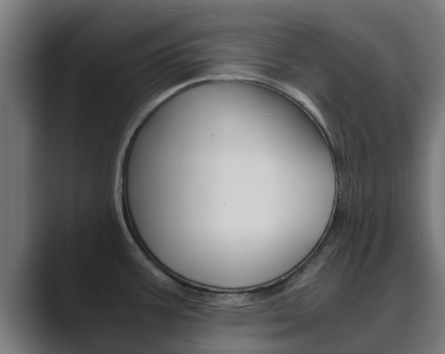 X0000089891387200706281102