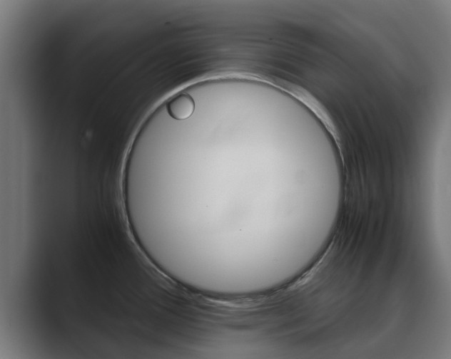 X0000089891388200706281102