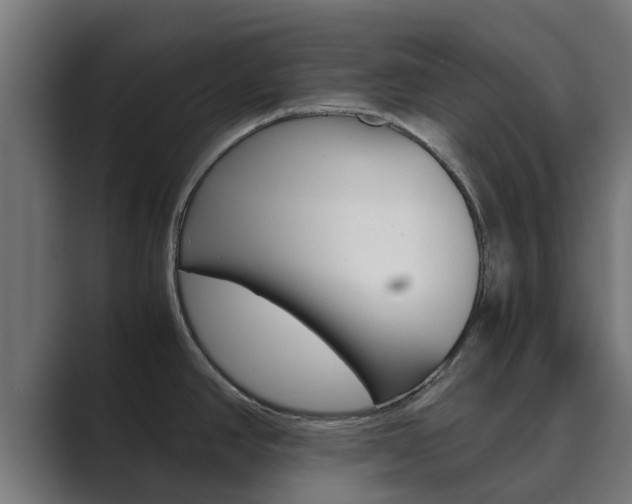 X0000089891390200706281102