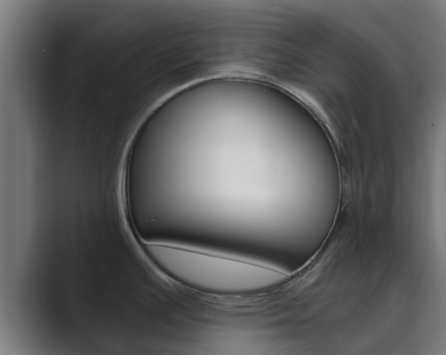 X0000089891391200706281102