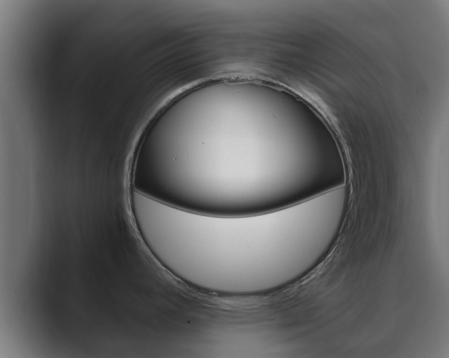 X0000089891392200706281102
