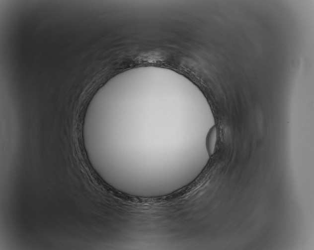 X0000089891393200706281101