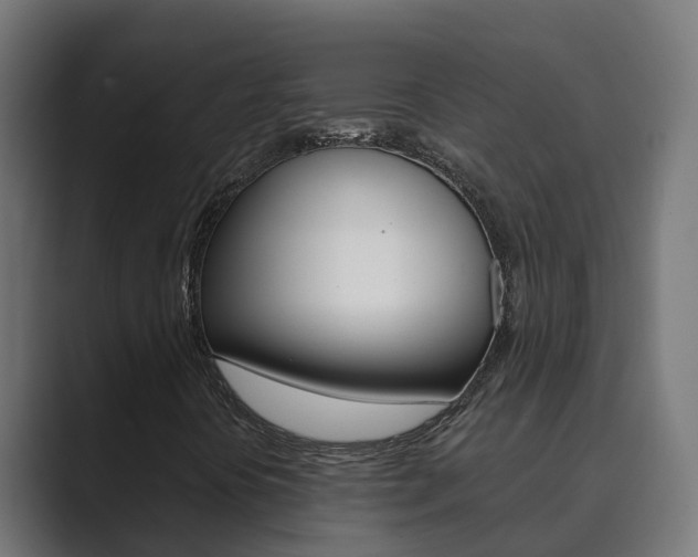 X0000089891394200706281101